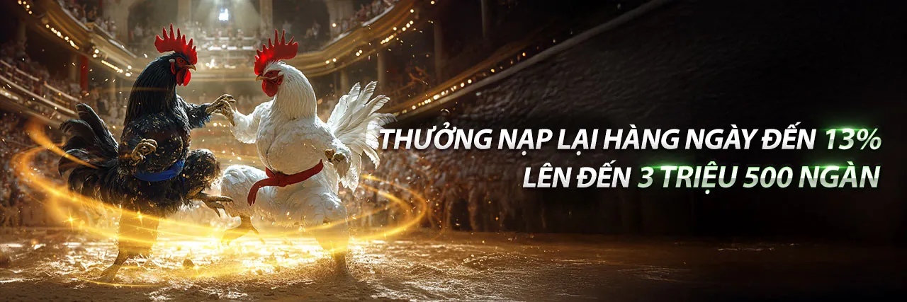 Tổng hợp các trò chơi casino trực tuyến, cá cược thể thao và xóc đĩa