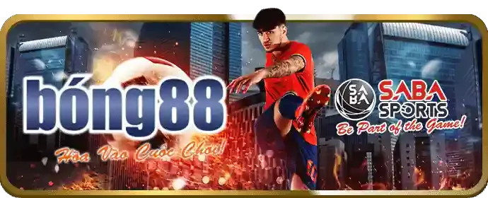 Cá cược các môn thể thao đa dạng khác